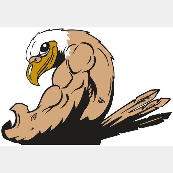 AR EAGLE 85 RC Thumbnail