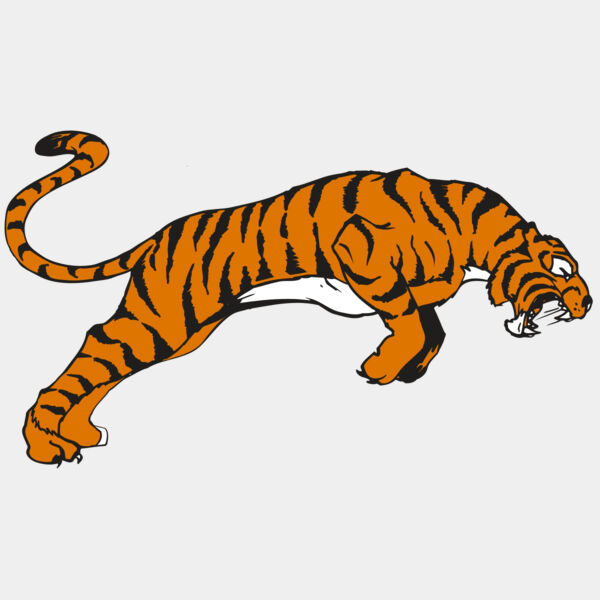 AR TIGER 79 RC Thumbnail