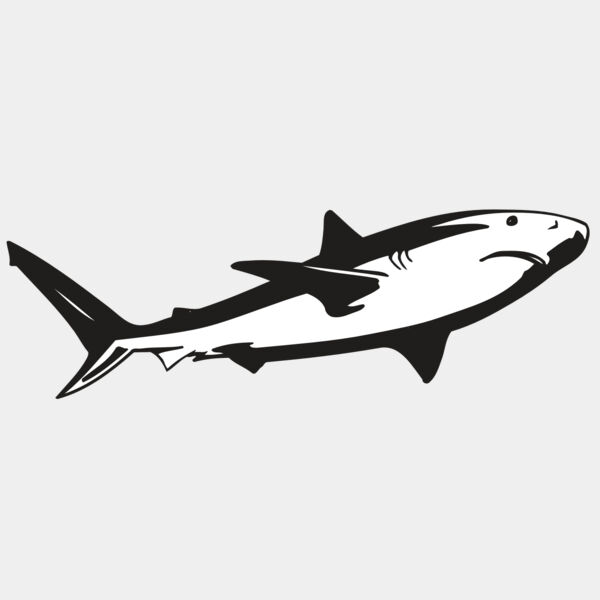 AR5 Shark 15 RQC Thumbnail